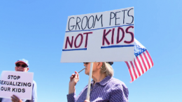 A gay holding a banner where written "GROOM PETS NOT KID"